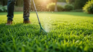 Organic lawn care